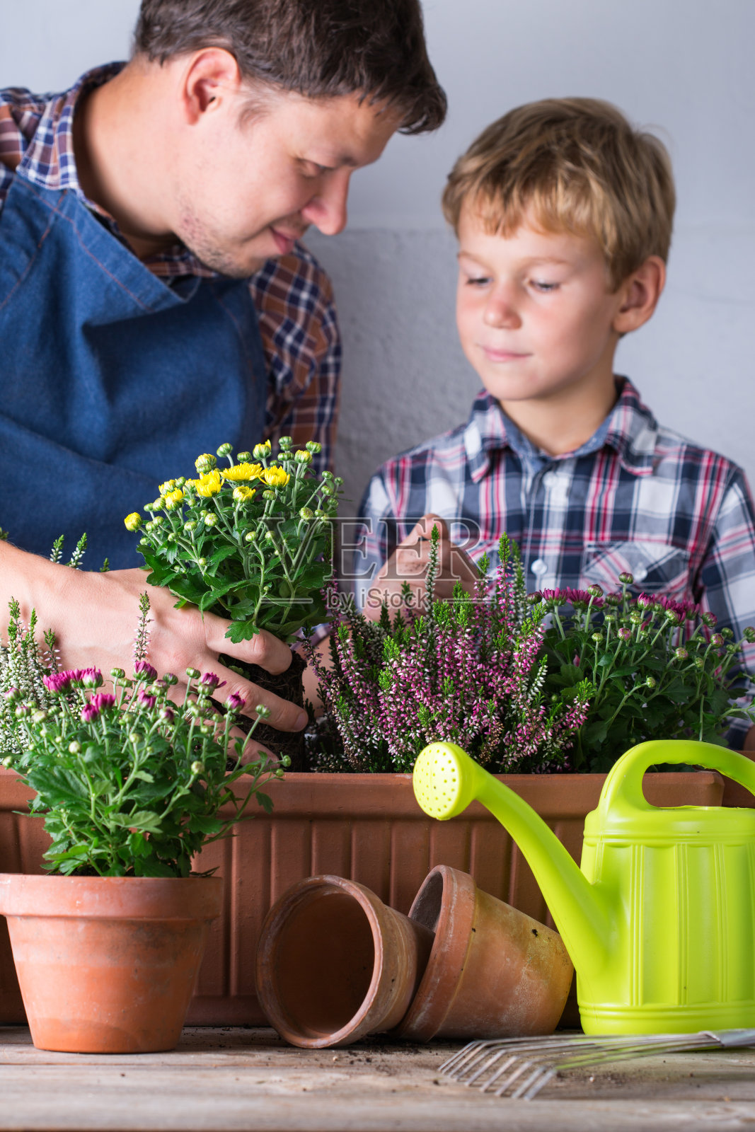 孩子帮助父亲种花。家庭时间照片摄影图片