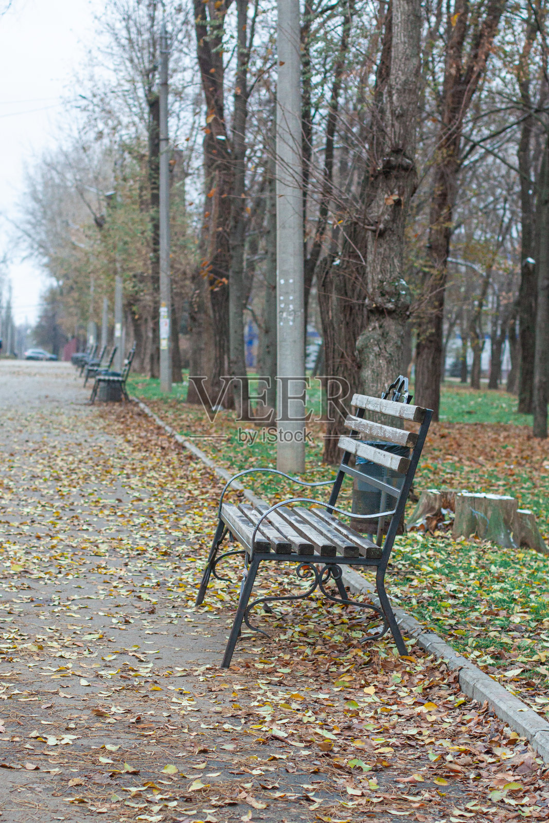 公园里的长椅在秋天多云的天气里照片摄影图片