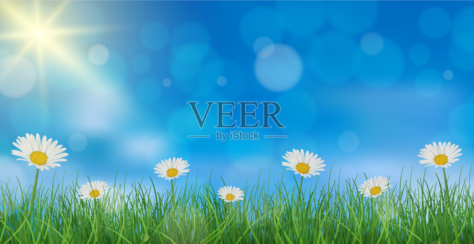 甘菊在蓝天和绿色的背景上插画图片素材