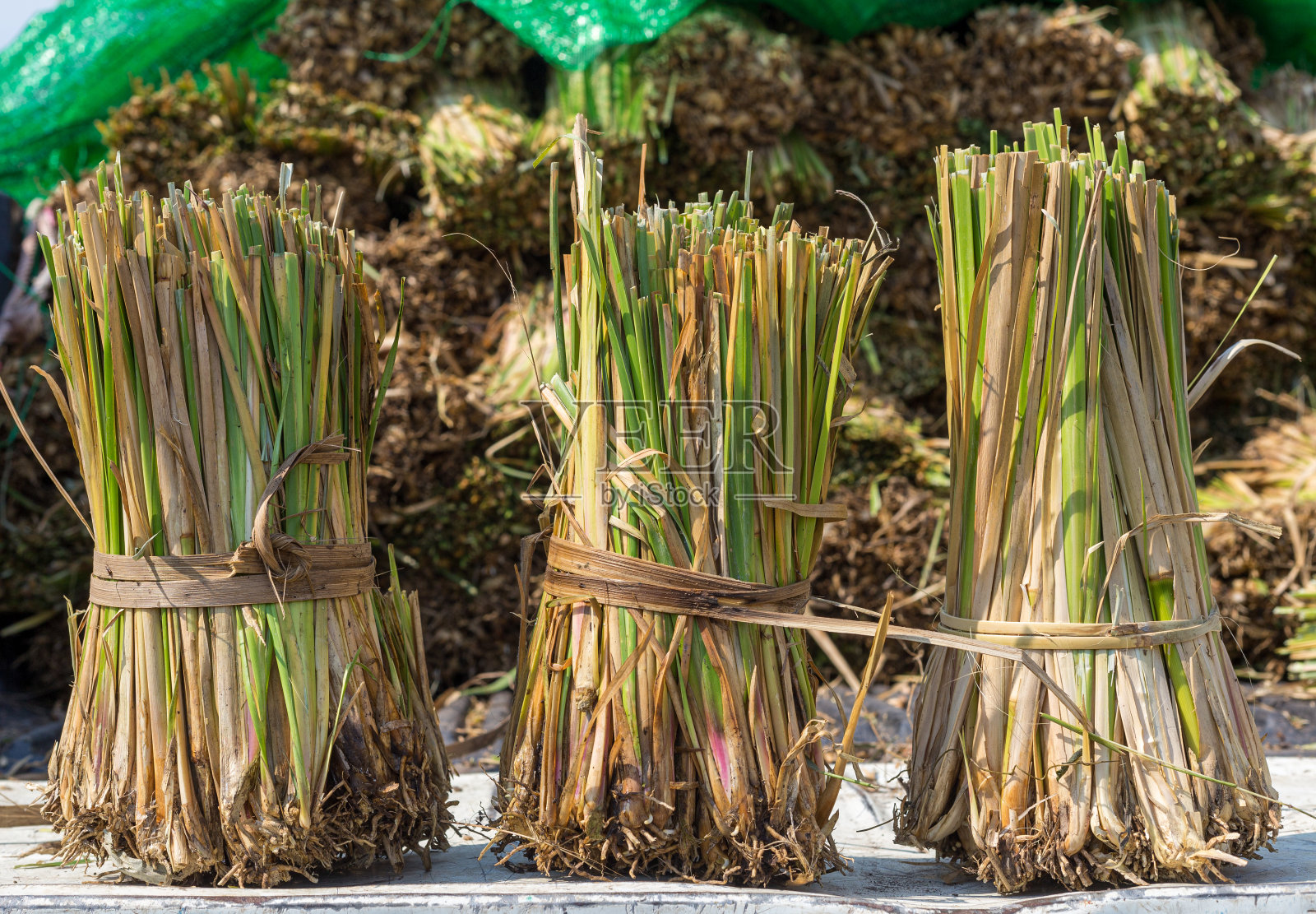 香根草捆在一起准备好了照片摄影图片