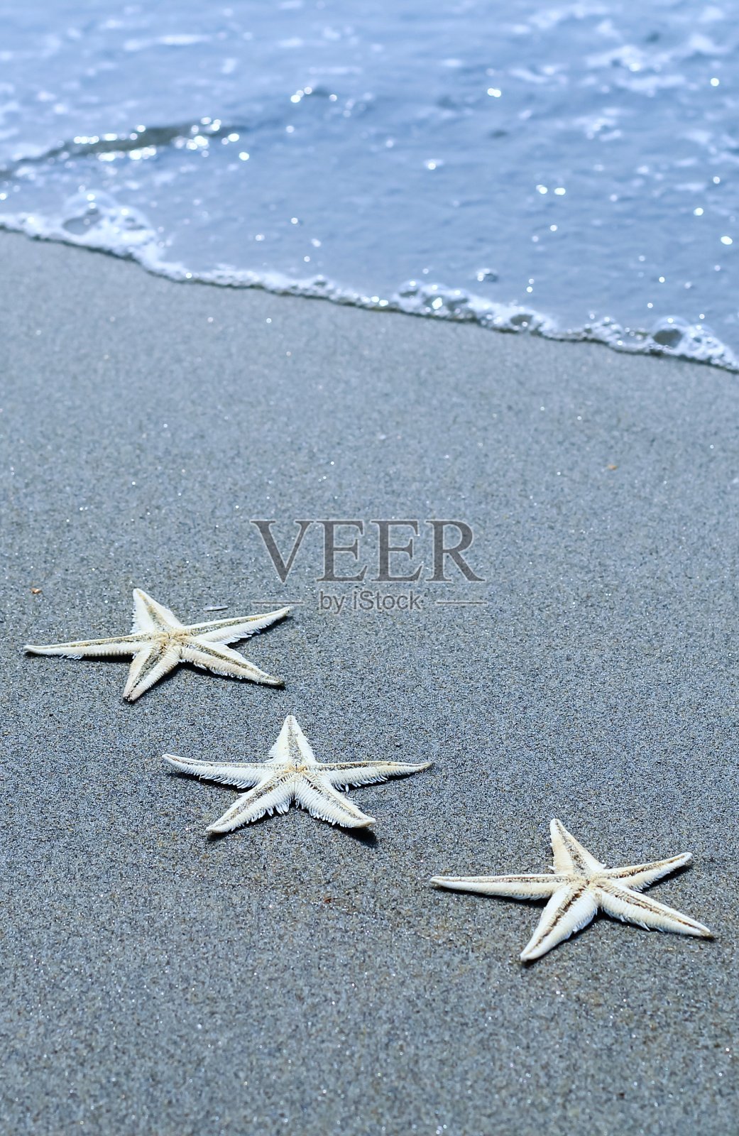 热带夏季沙滩上的海星和柔浪照片摄影图片