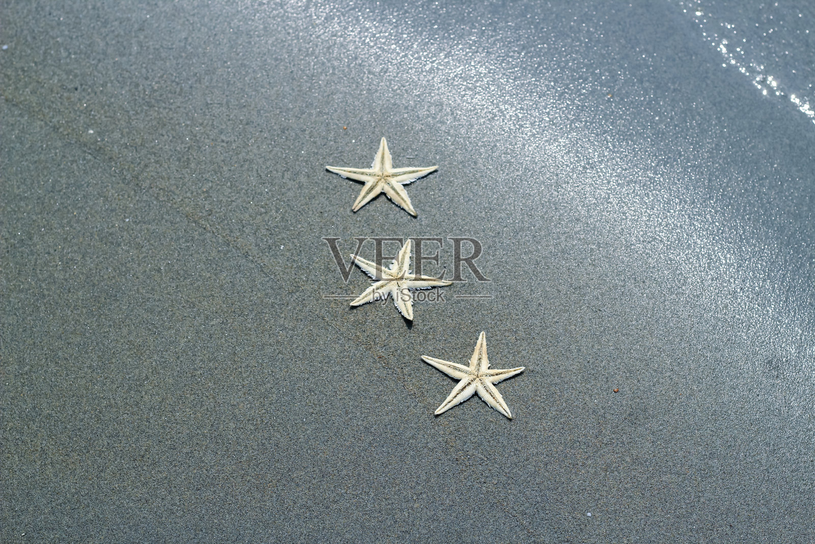 热带夏季沙滩上的海星和柔浪照片摄影图片