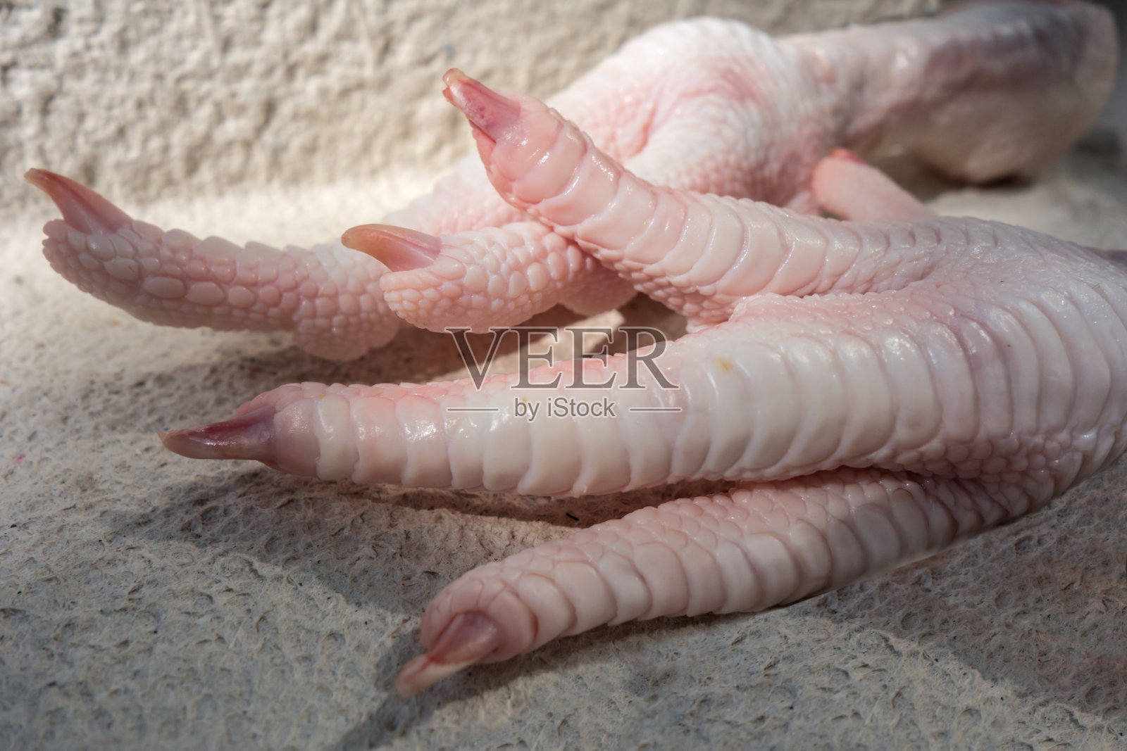 生的鸡腿照片摄影图片