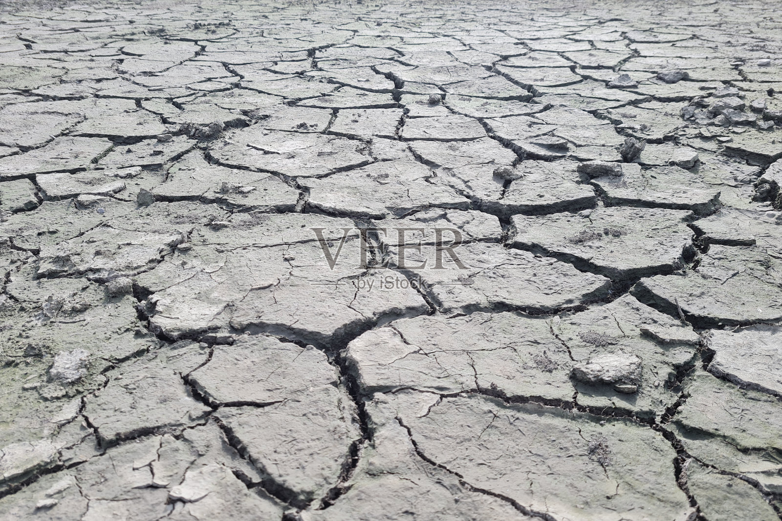 环境保护照片摄影图片