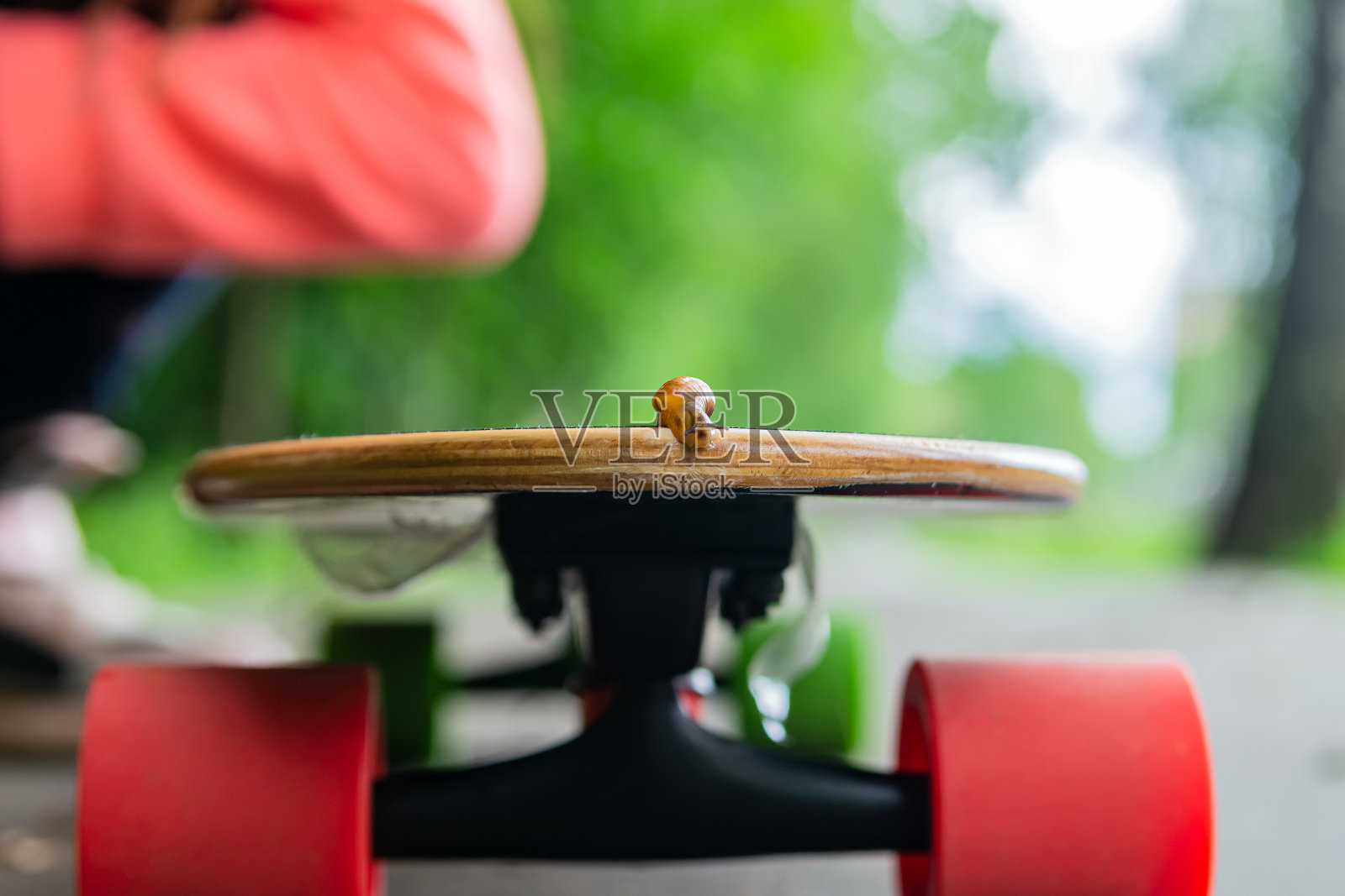 一只非常小的蜗牛在一个大滑板的前面爬行照片摄影图片