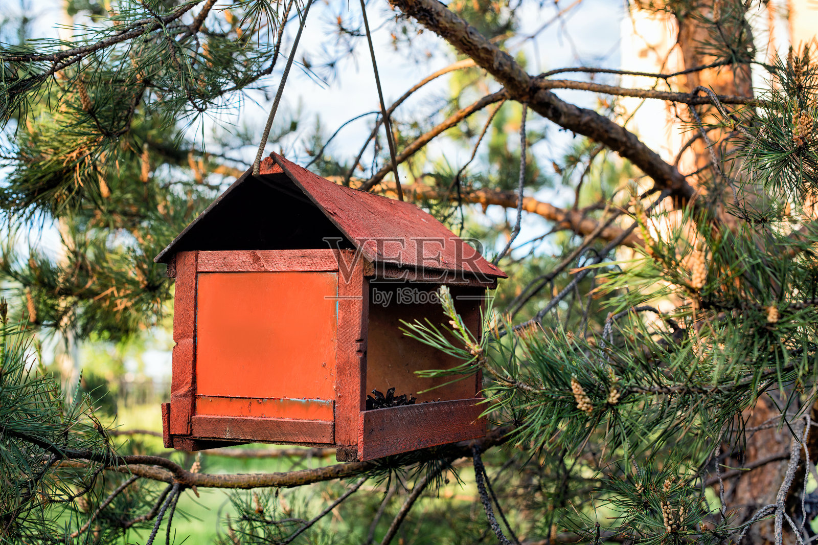 树上的一个木制喂鸟器。照片摄影图片