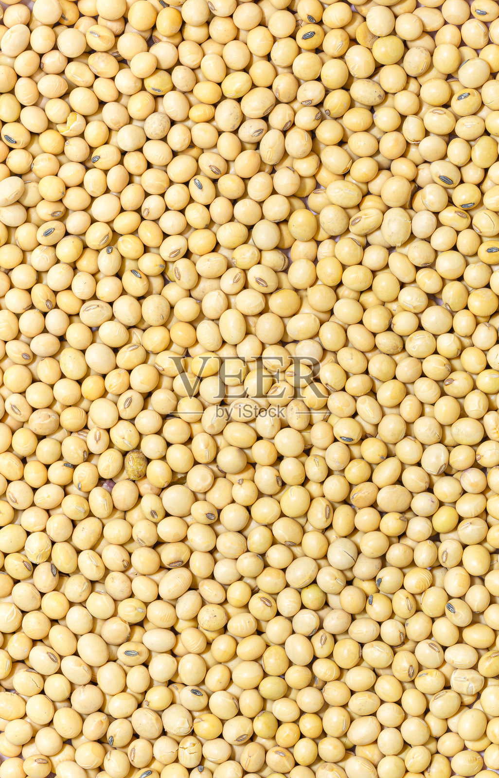 宏观大豆，大豆从上方拍摄。优质大豆照片摄影图片