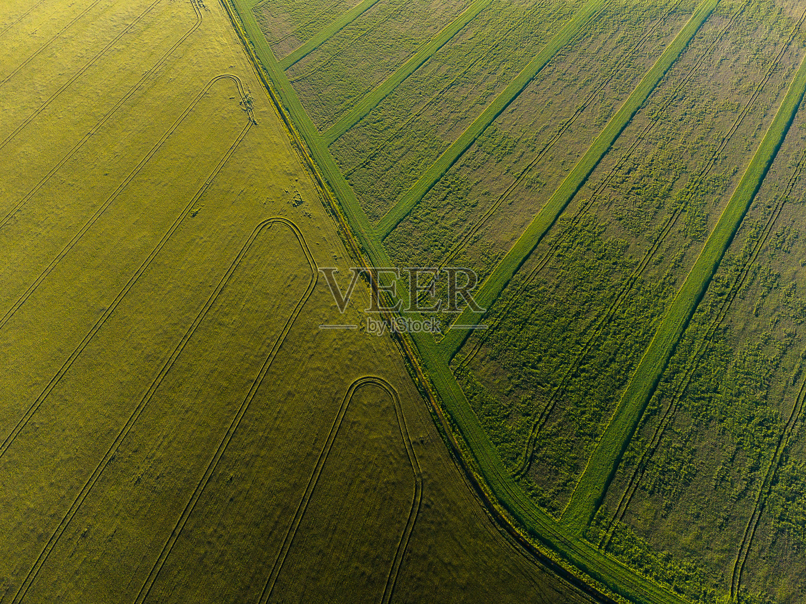 夏天的时间照片摄影图片