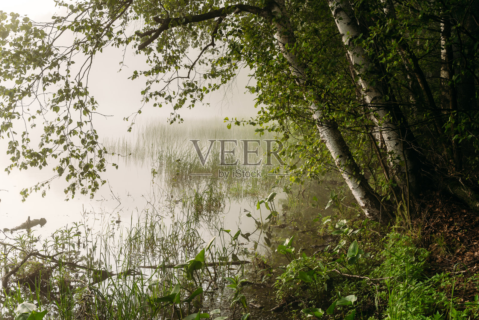 夏天的时间照片摄影图片