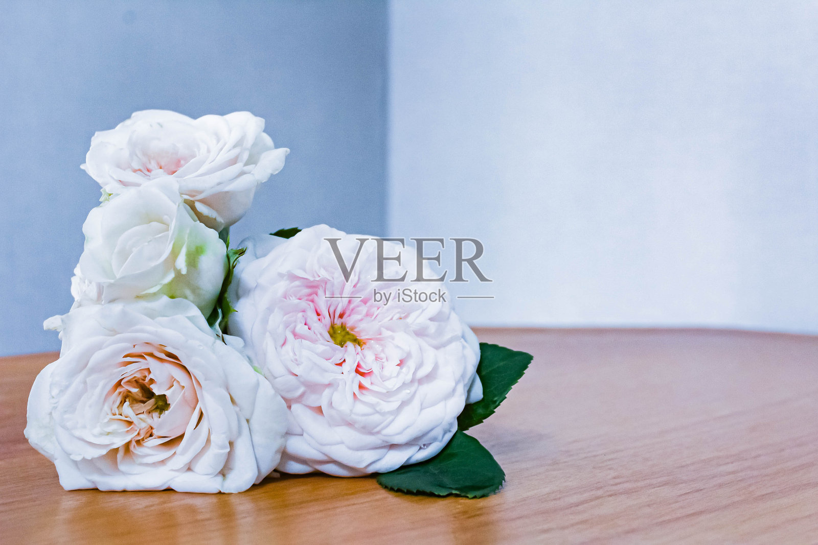 花照片摄影图片