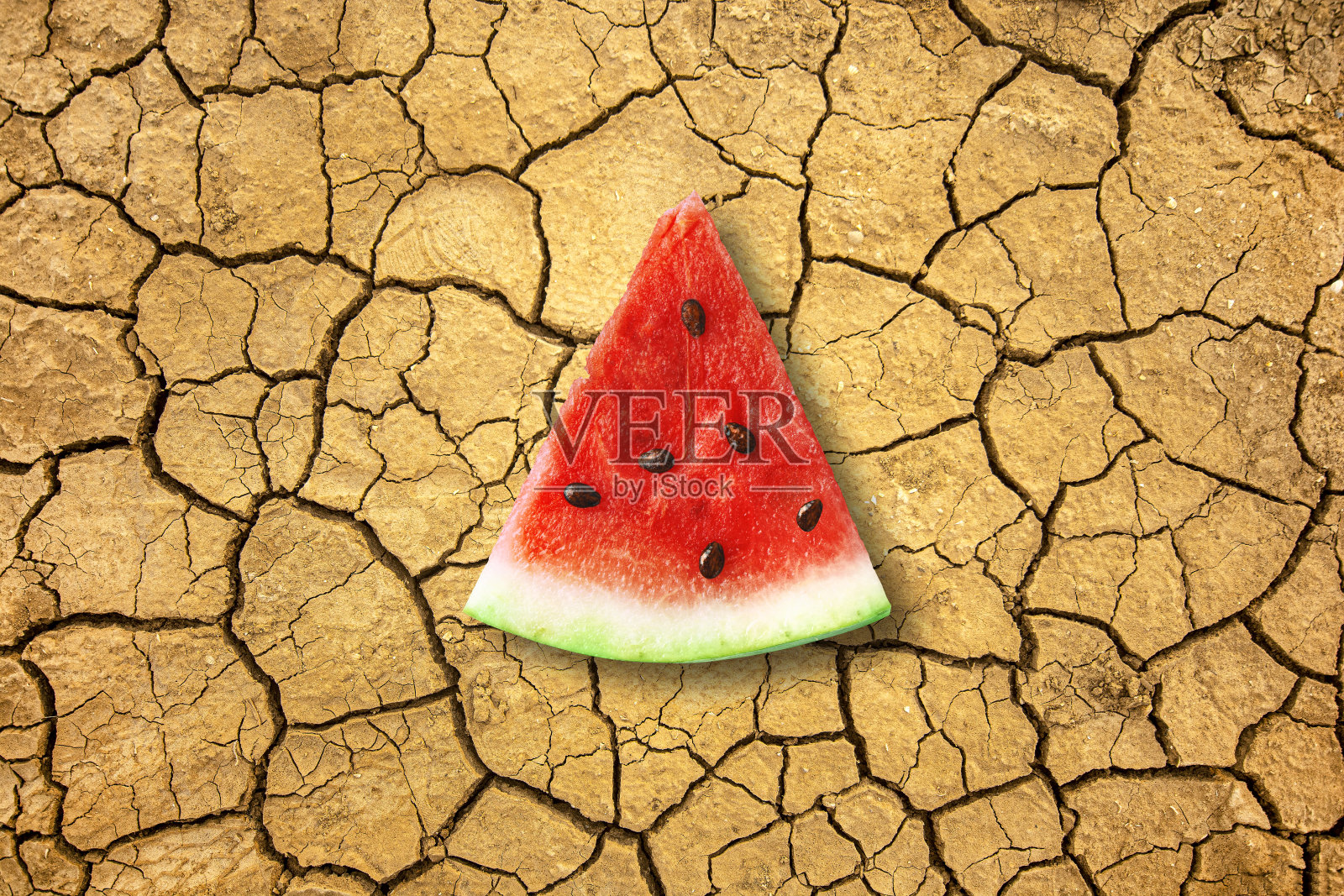 一片多汁的西瓜躺在干燥的地上。干旱与土壤脱水概念。照片摄影图片