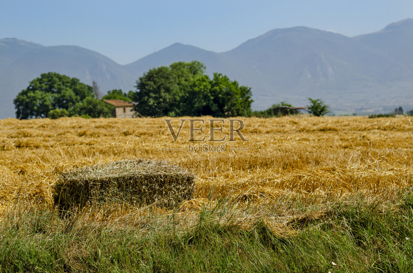 字段和干草照片摄影图片