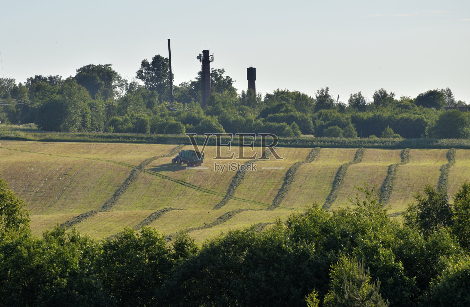 在俄罗斯莫斯科地区的一个村庄的田野上收集割下的草照片摄影图片