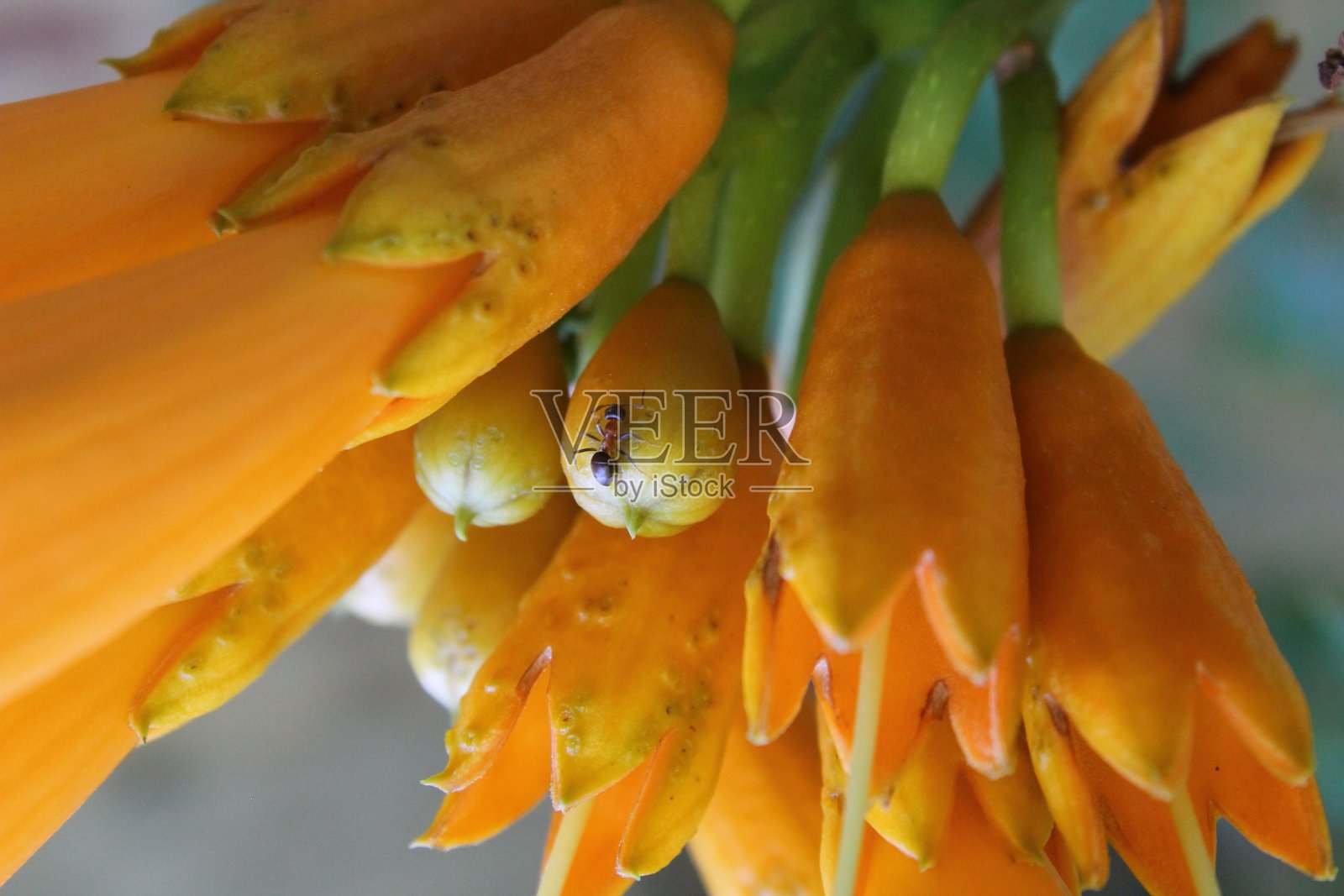 上：照片摄影图片