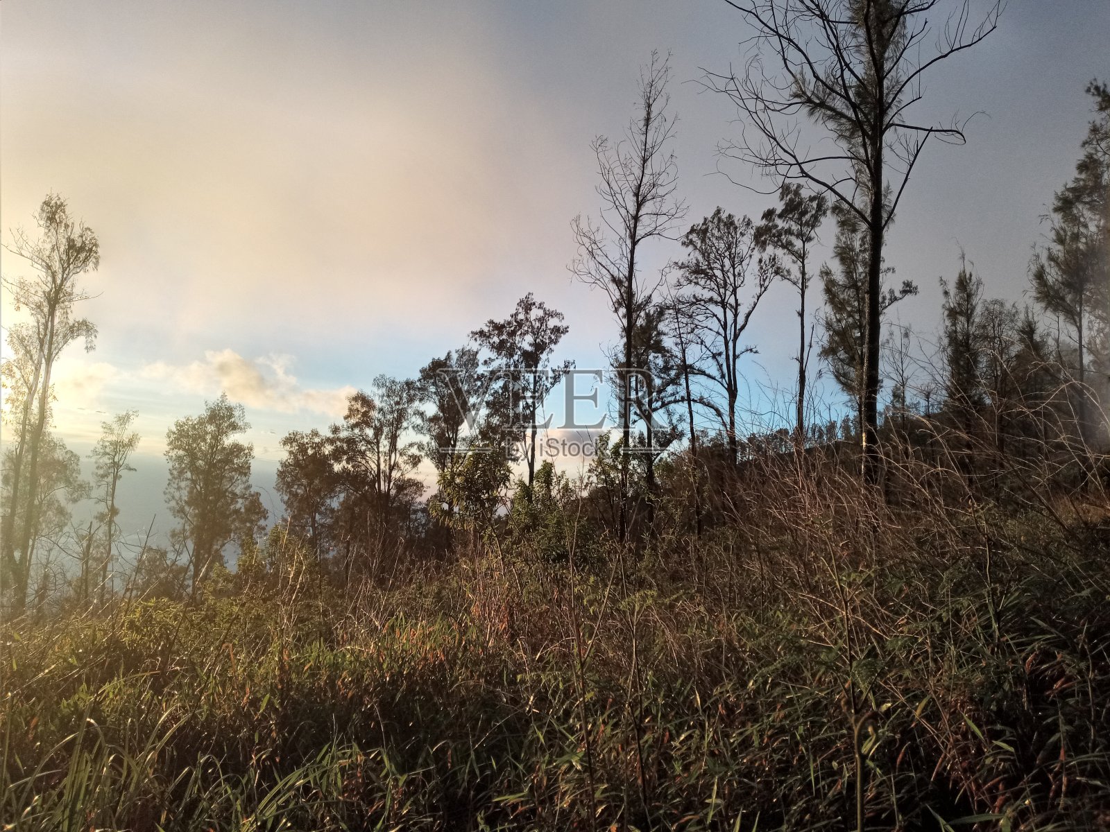 徒步旅行照片摄影图片