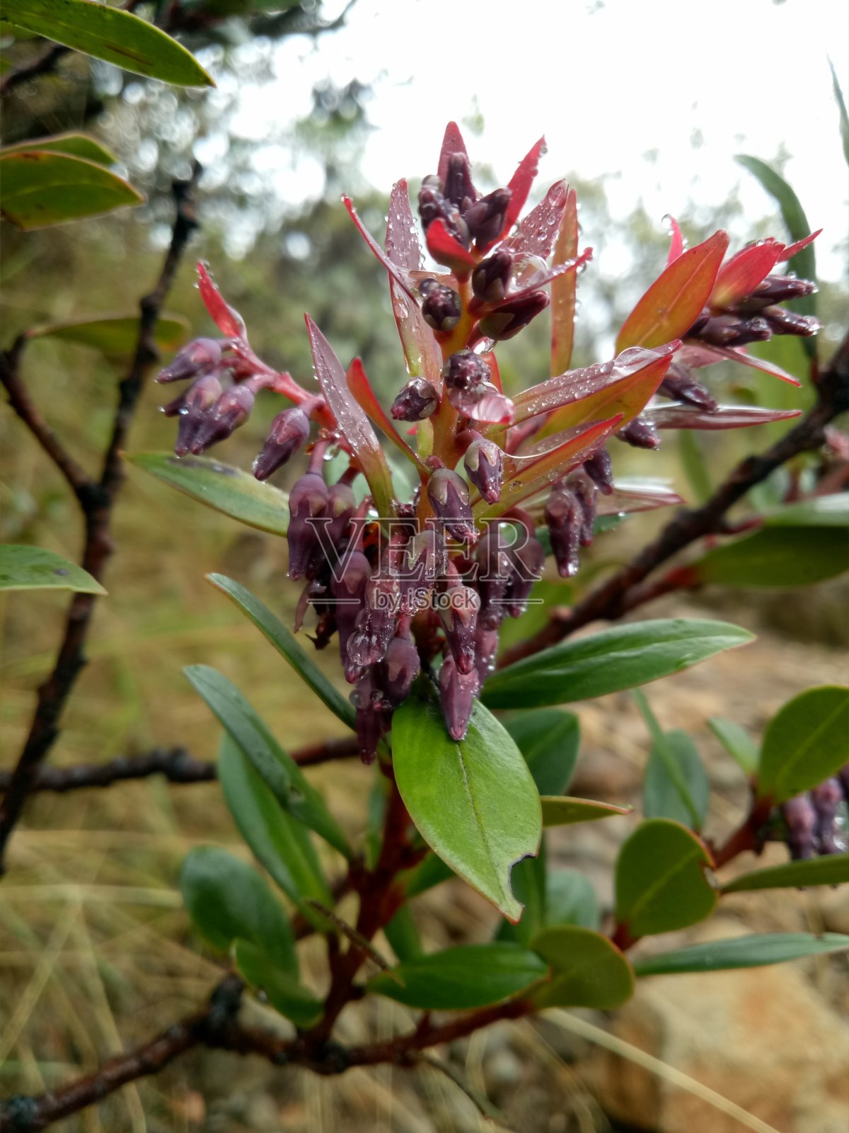 徒步旅行照片摄影图片