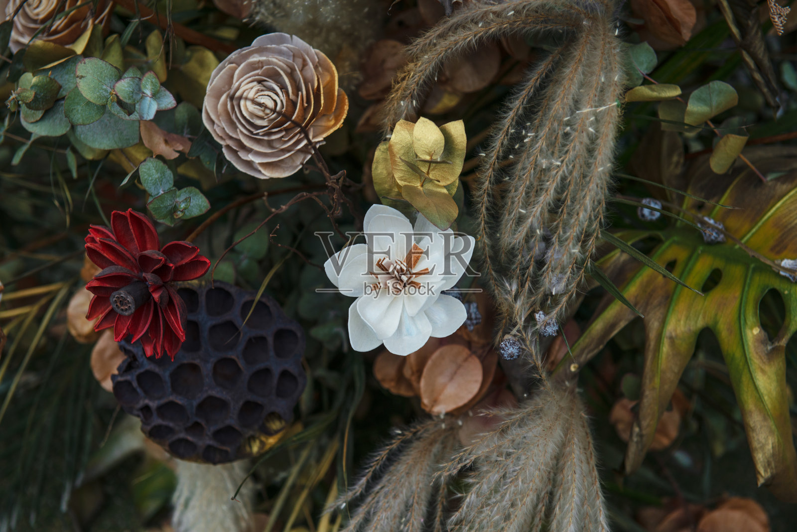 干花的背景照片摄影图片