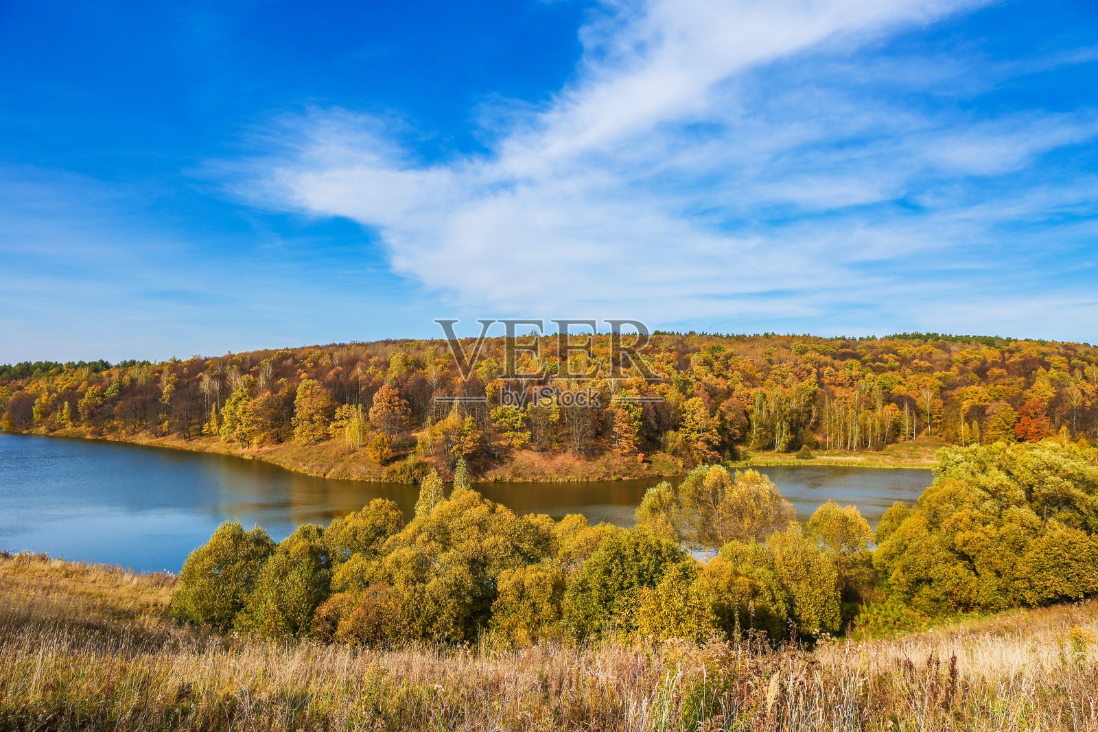 森林里美丽的大湖照片摄影图片