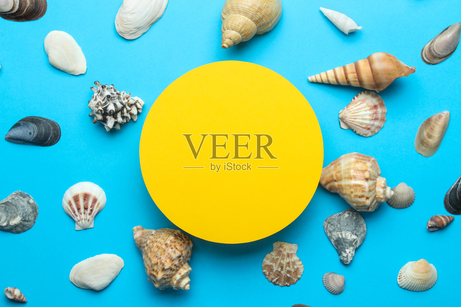 夏天的框架。为你的文字和贝壳在一个温和的蓝色背景纸框架。俯视图照片摄影图片