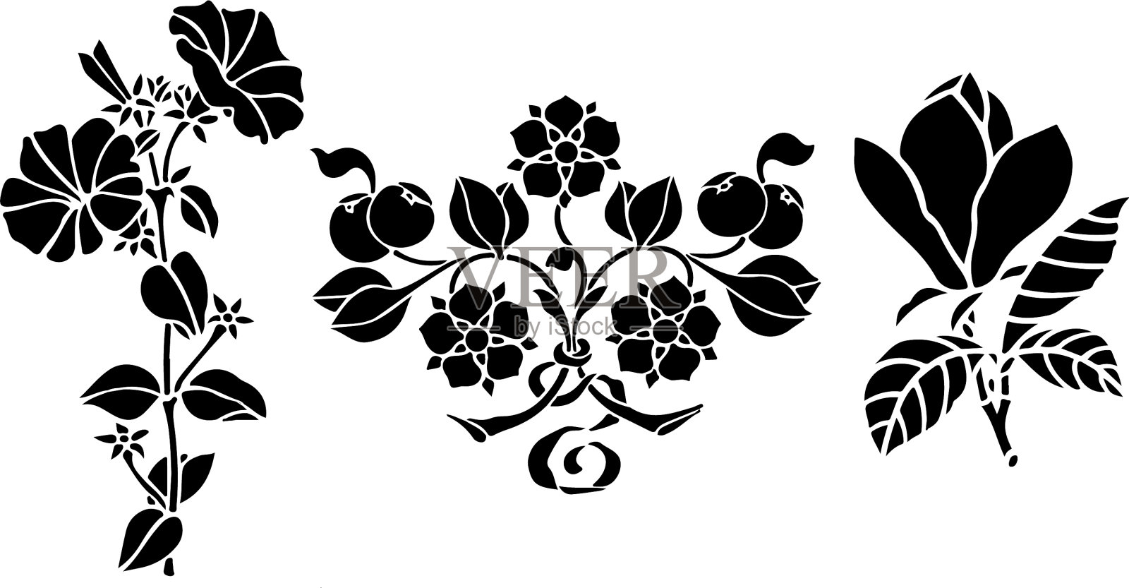 花组素描花卉植物叶插画图片素材