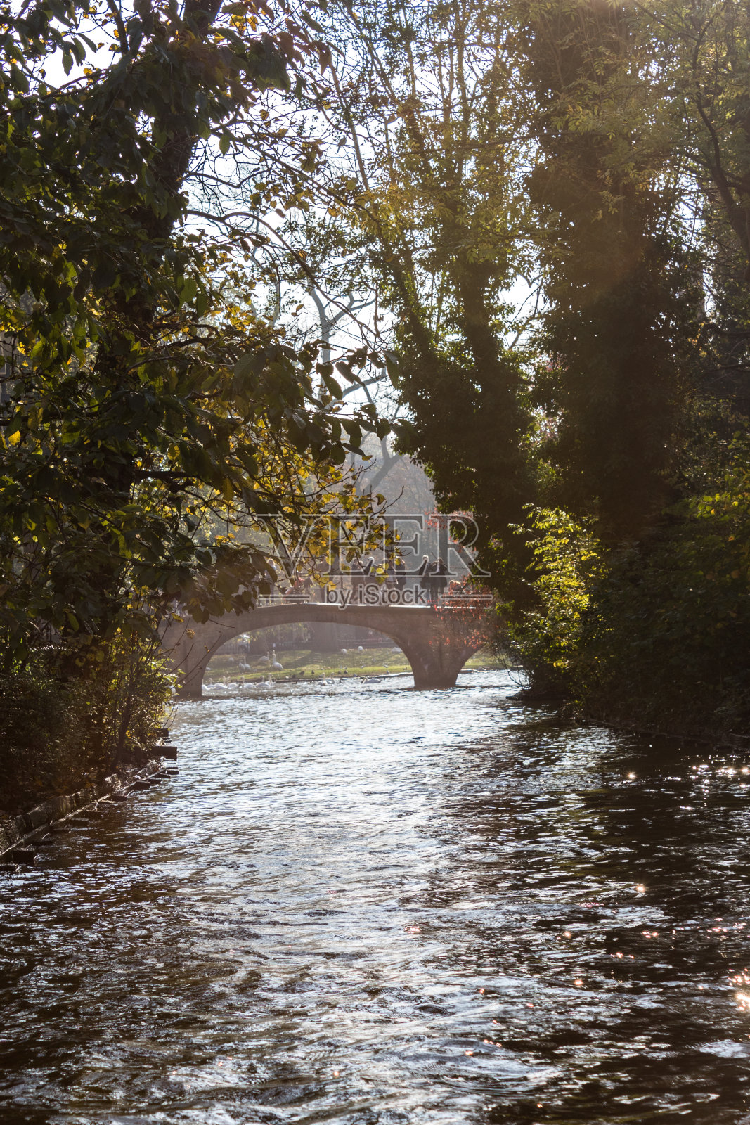布鲁运河照片摄影图片