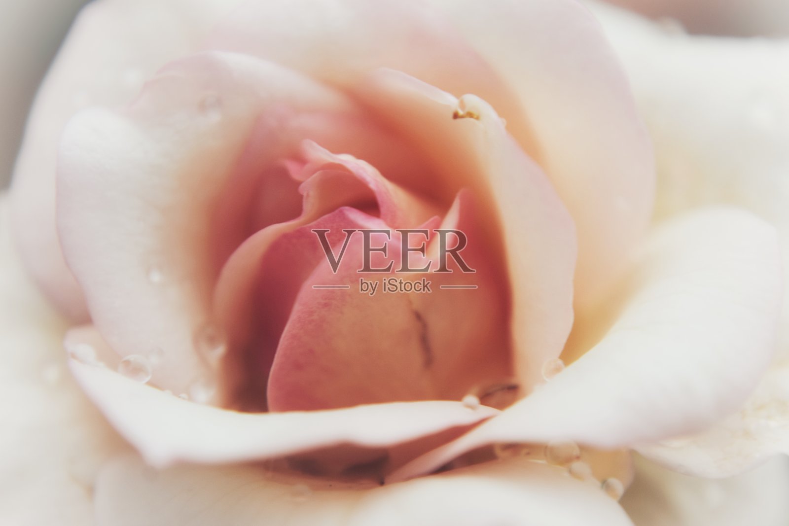 未开封照片摄影图片