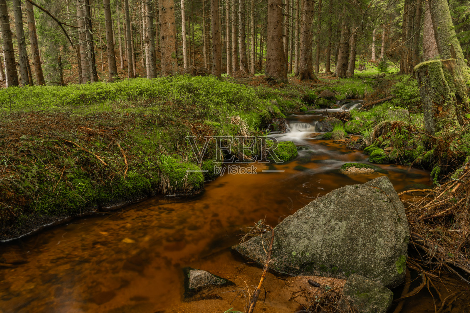 春日清晨雨后的克鲁斯山斯克里万色溪照片摄影图片