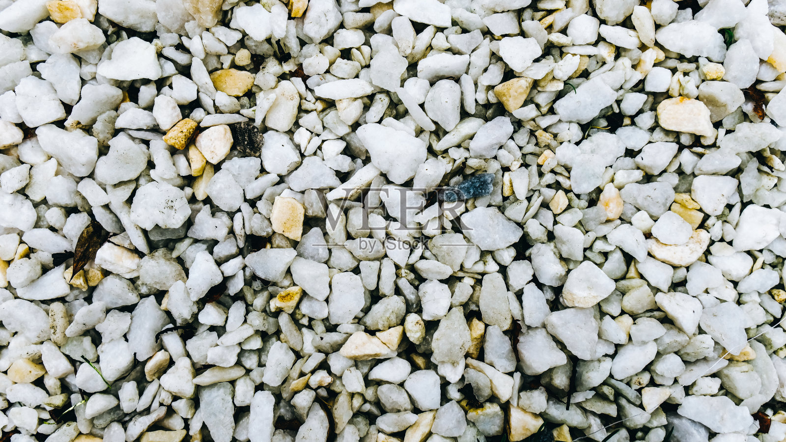 沙滩上的白色鹅卵石，沙滩上的石头照片摄影图片