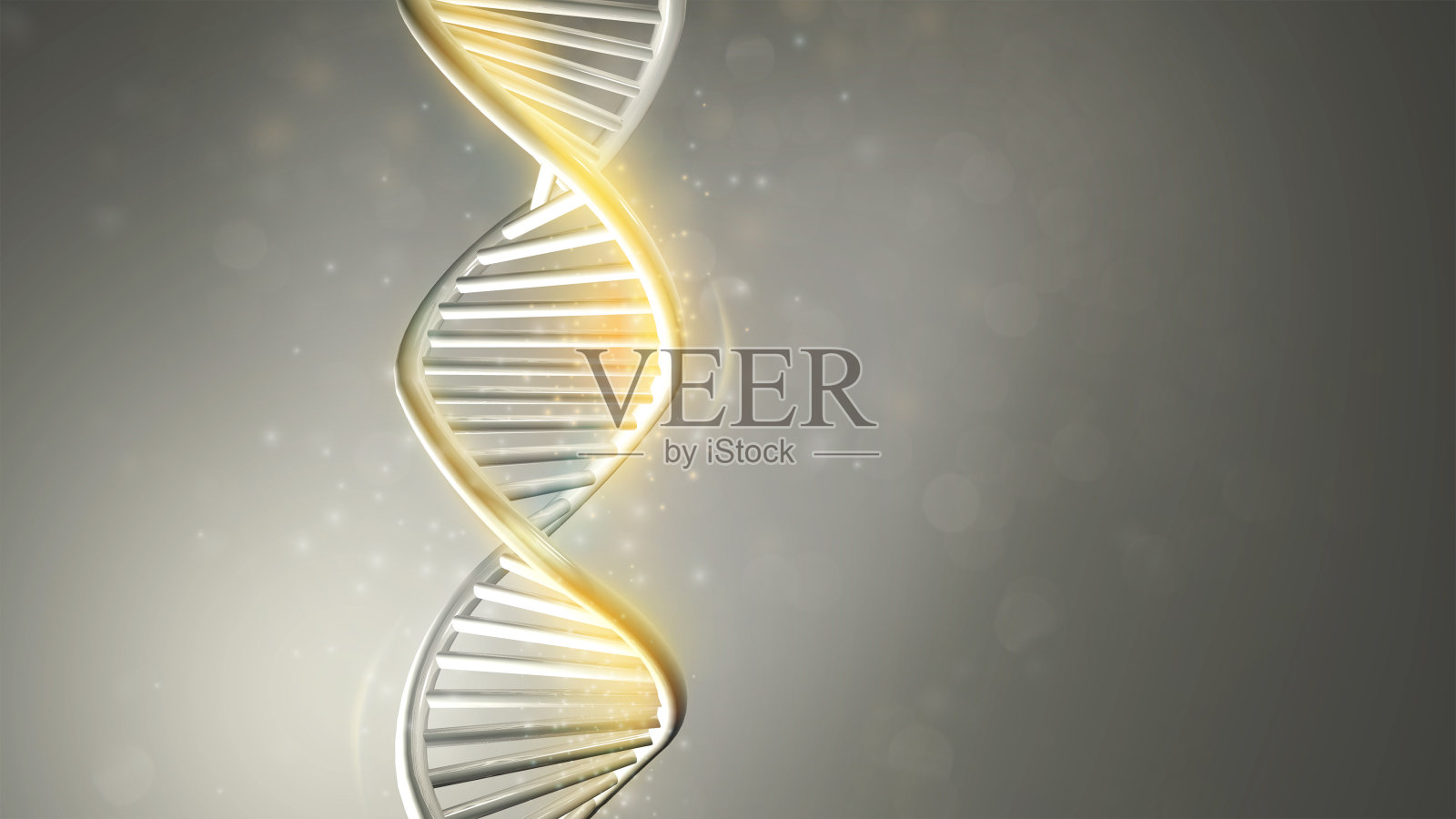 金黄色的DNA双螺旋模型，3D渲染。照片摄影图片