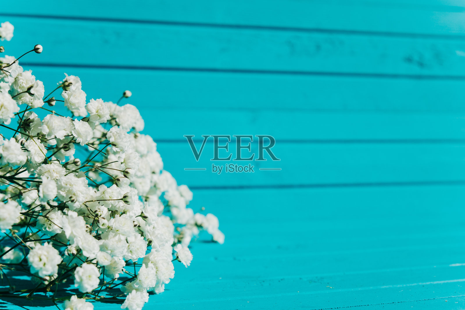 白色的花朵，在绿松石木制的背景上。小玫瑰，复制空间照片摄影图片