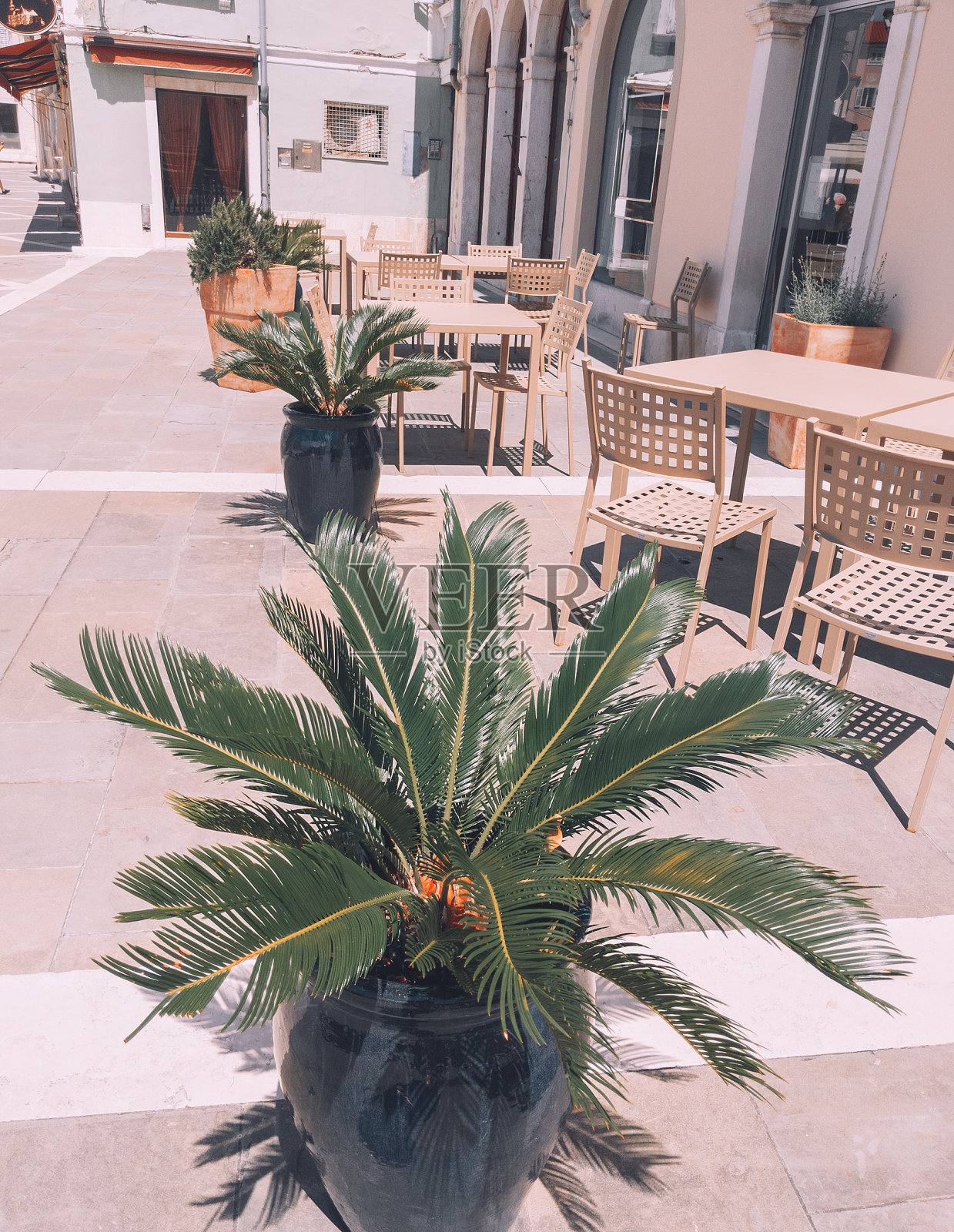 时尚的夏季壁纸。Palm和
地中海的街道。咖啡馆。旅行斯洛文尼亚混杀丹照片摄影图片