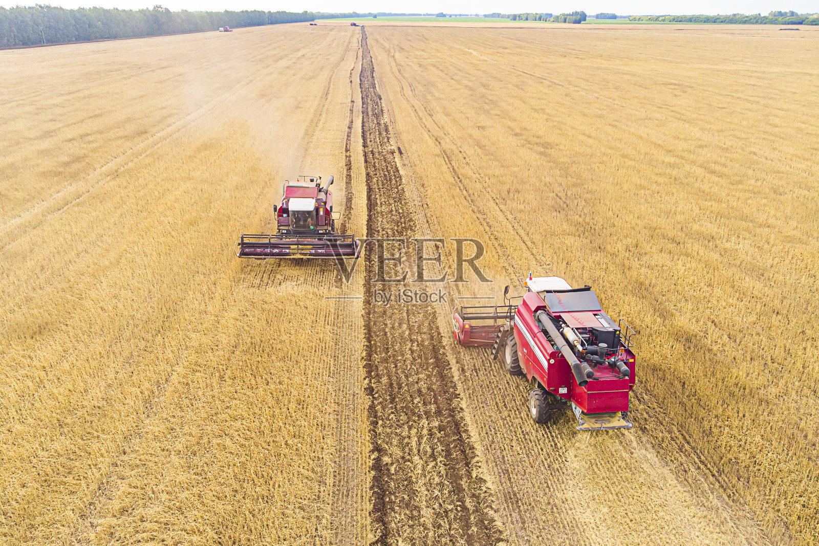 在大片麦田里，联合收割机的鸟瞰图。在初秋的时候，田间的干草和收割工作。拖拉机割干草。为冬天做准备照片摄影图片