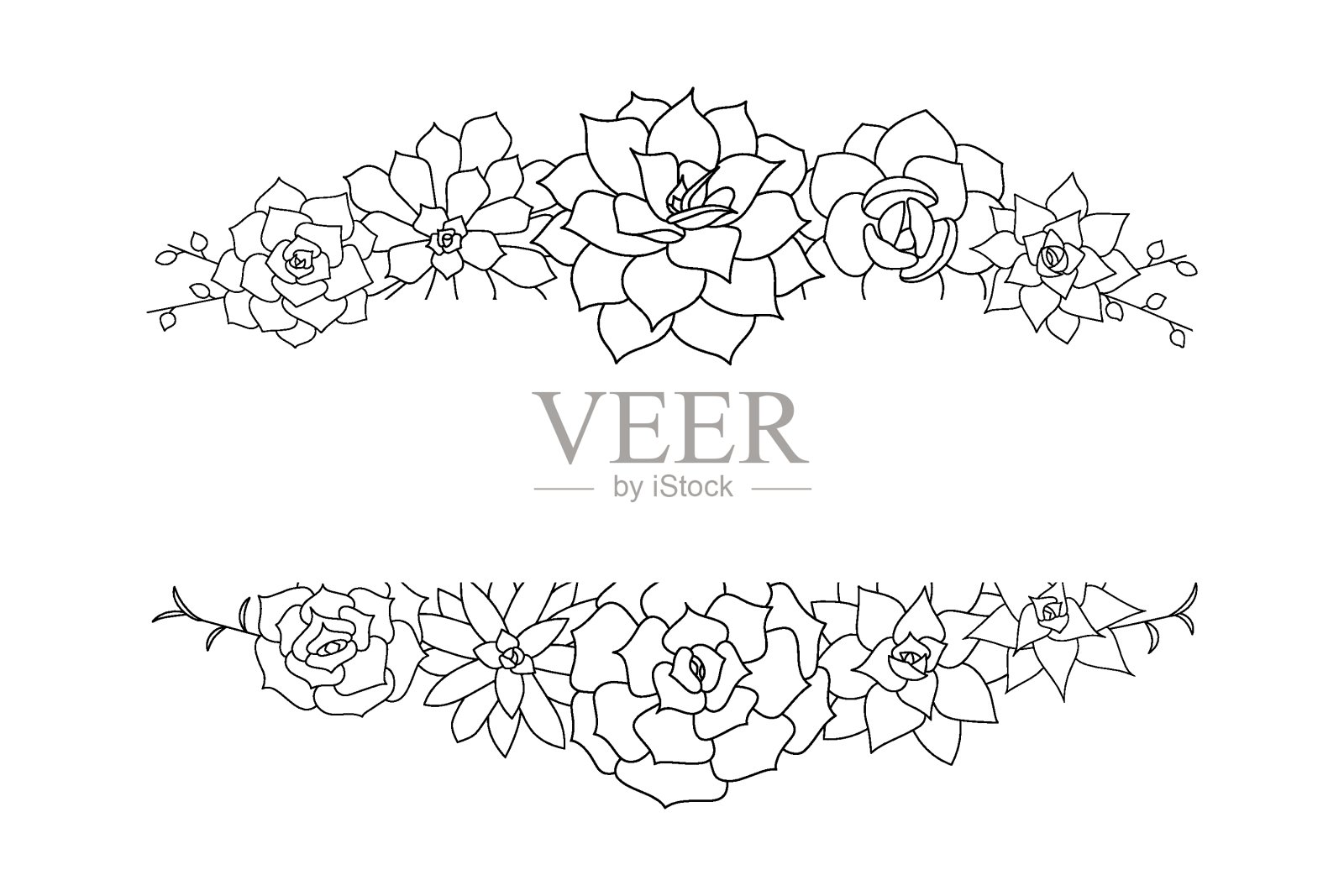 肉质木犀草载体架插画图片素材