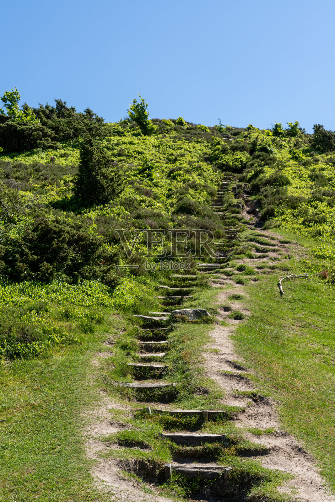 在黑斯兰乡村，通往山顶的木制台阶的徒步小径照片摄影图片