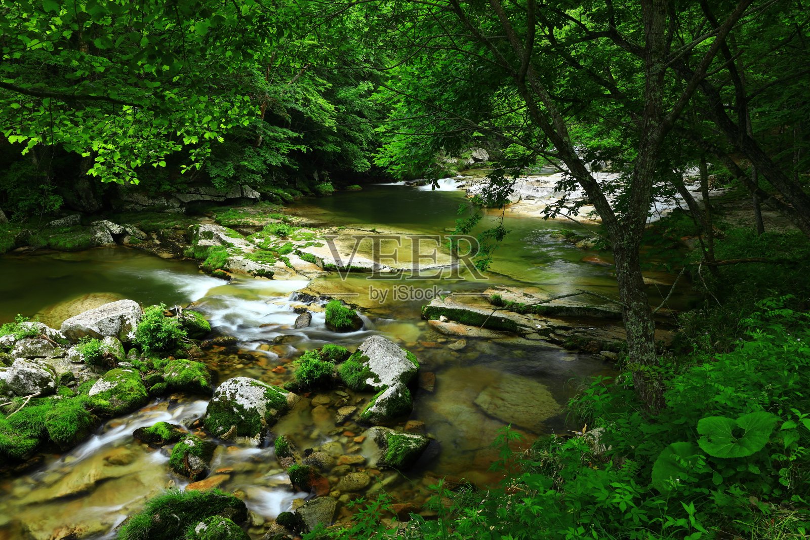 鲜绿山溪照片摄影图片