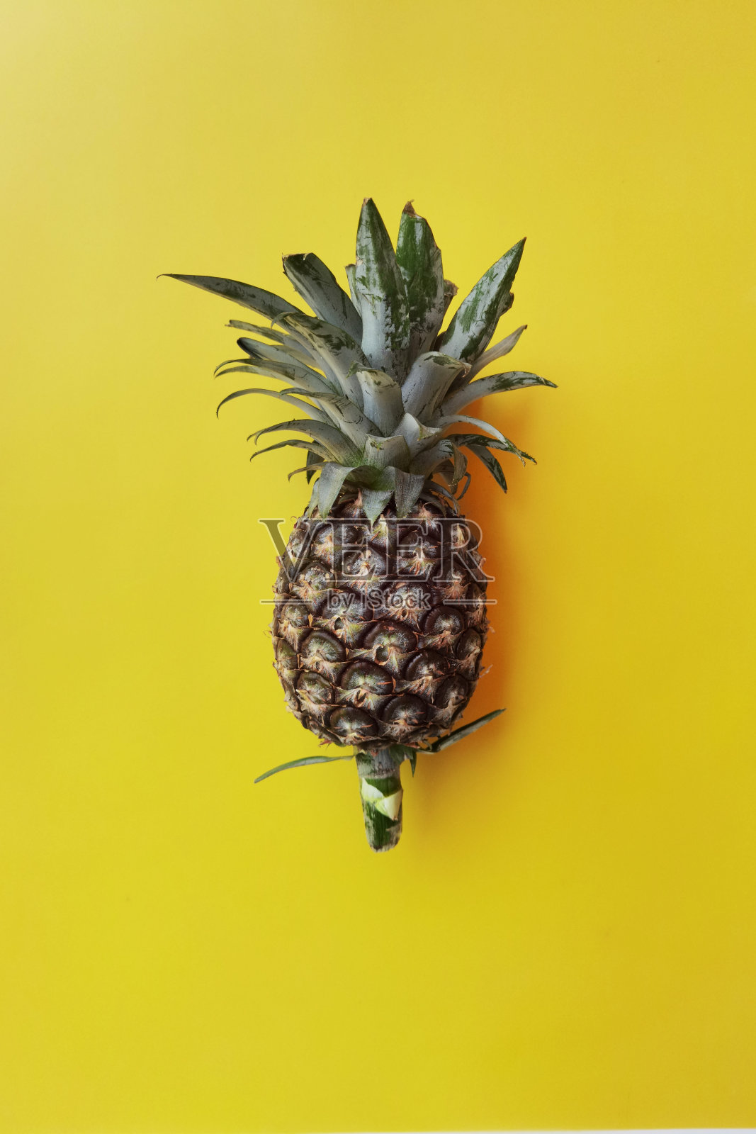 近距离观看新鲜菠萝照片摄影图片