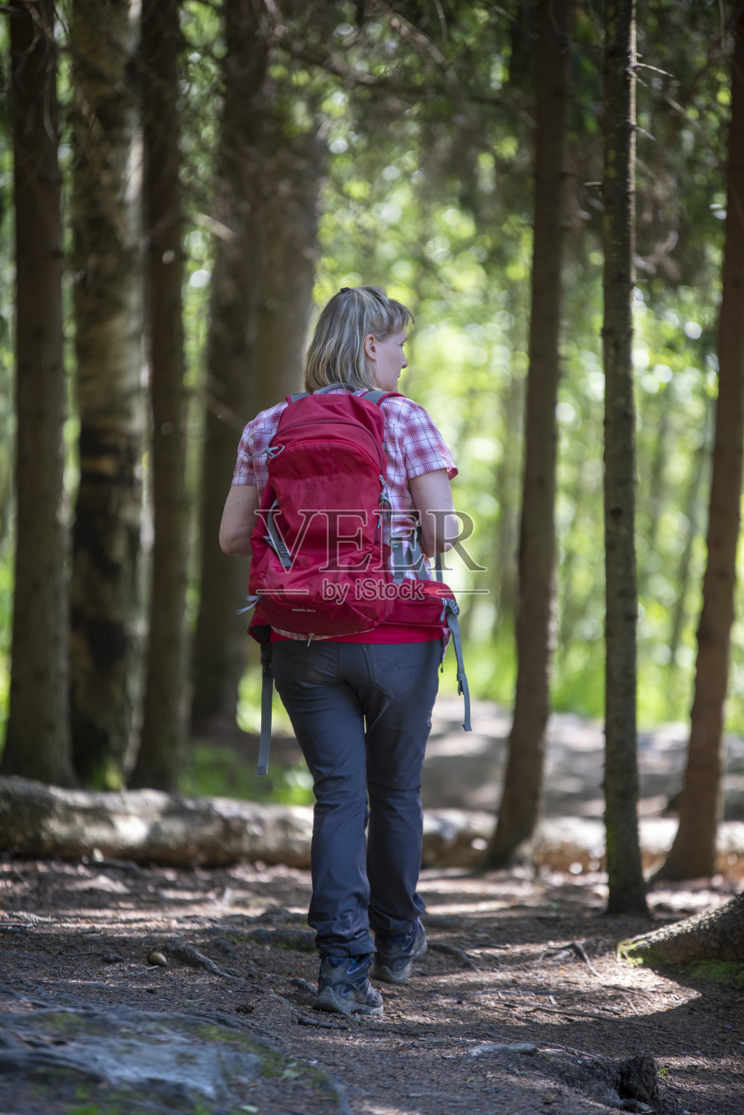 在森林里徒步旅行的女人照片摄影图片