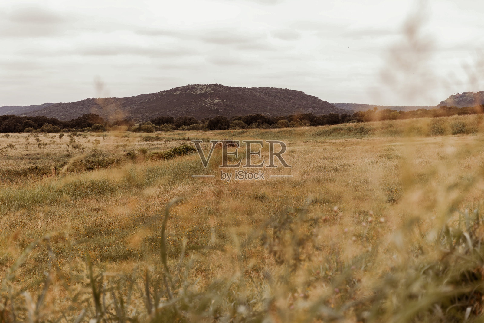 庞大的场景照片摄影图片