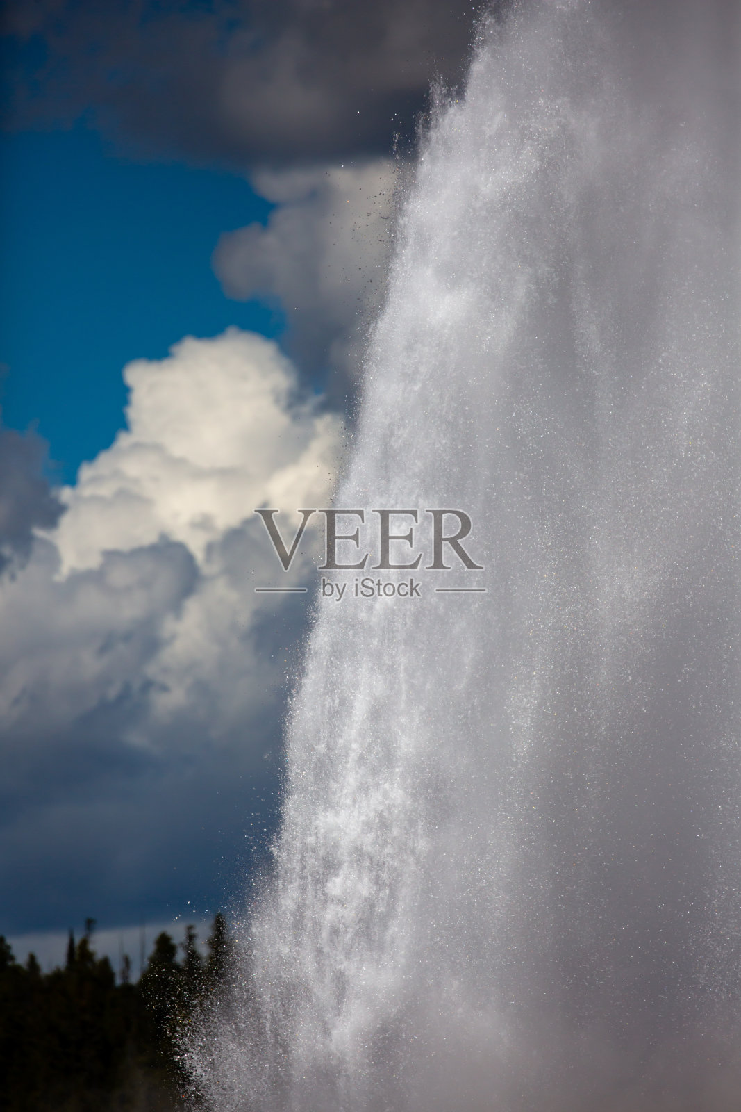 黄石国家公园的老忠实间歇泉在春天喷发照片摄影图片