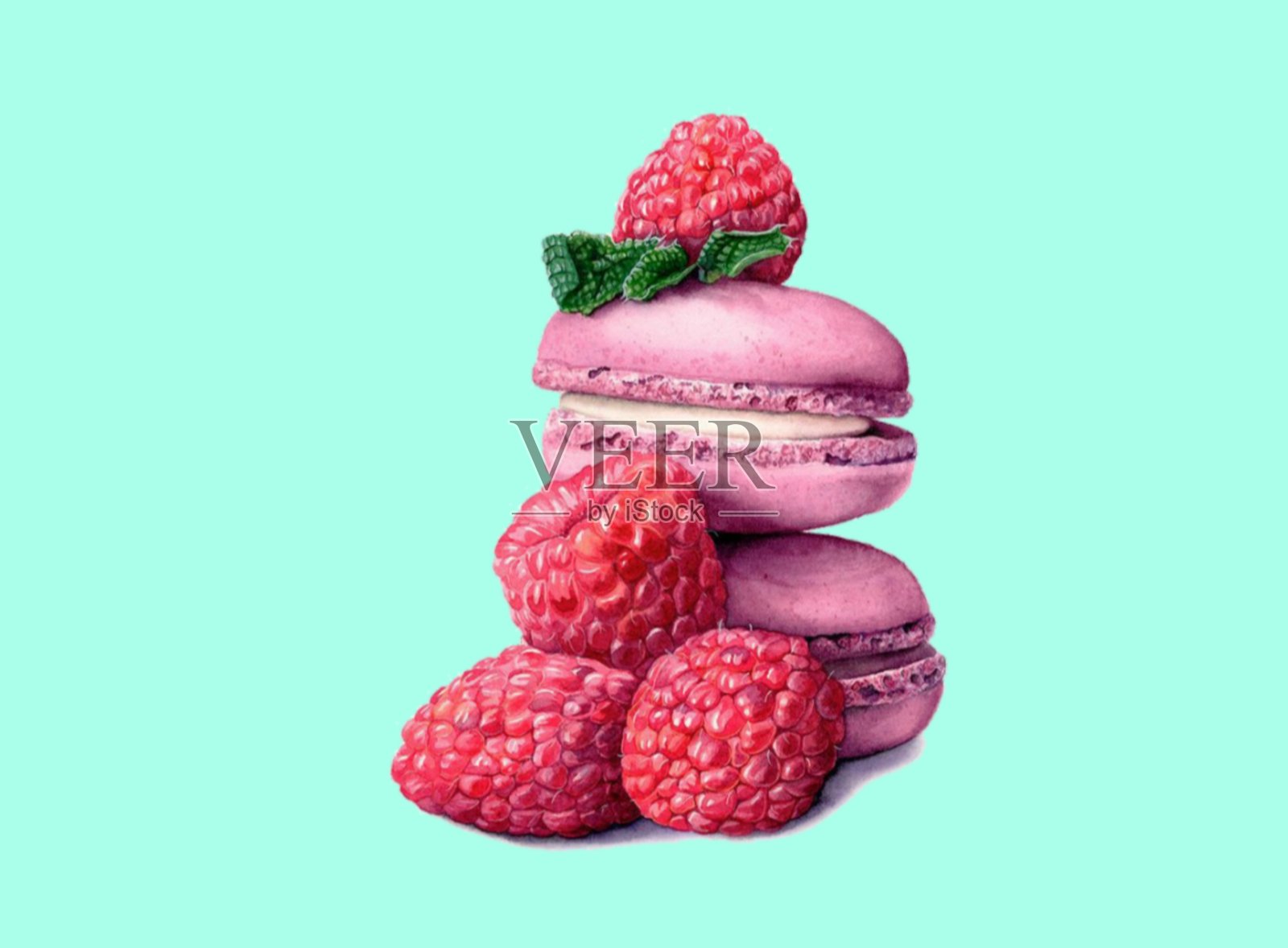 蓝墙上的草莓饼干插画图片素材