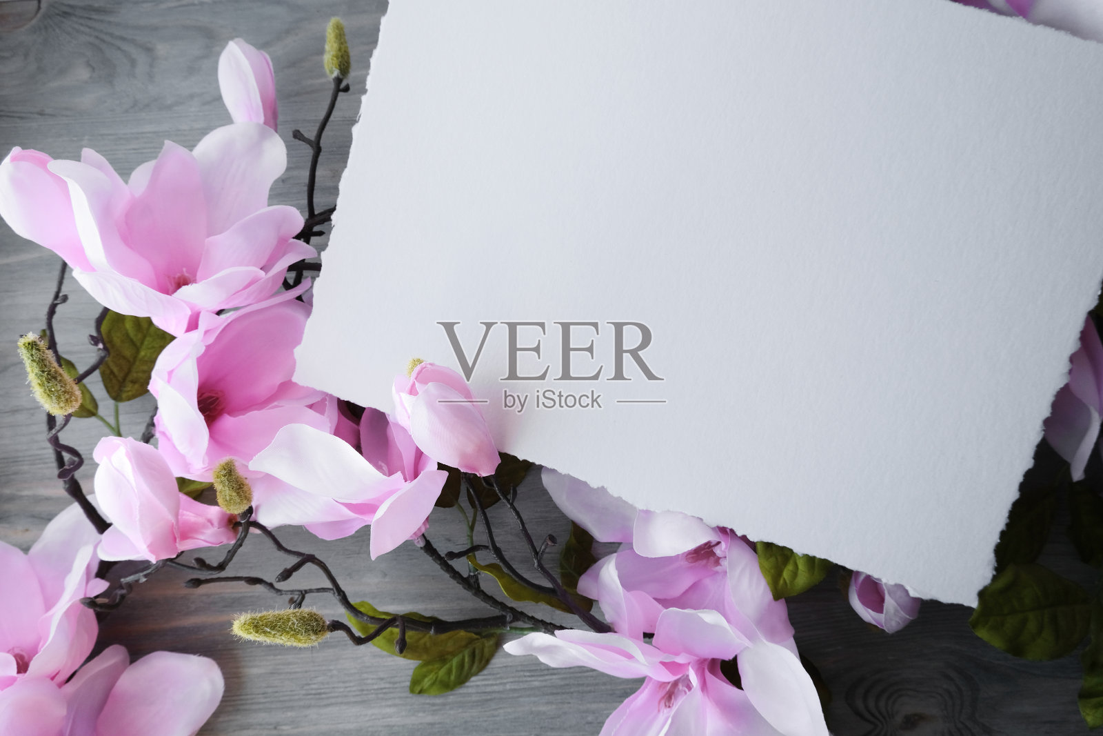 一块旧木板上开着娇嫩的粉色淡紫色花。用于题字的白纸。横幅上写着祝贺，公告。照片摄影图片