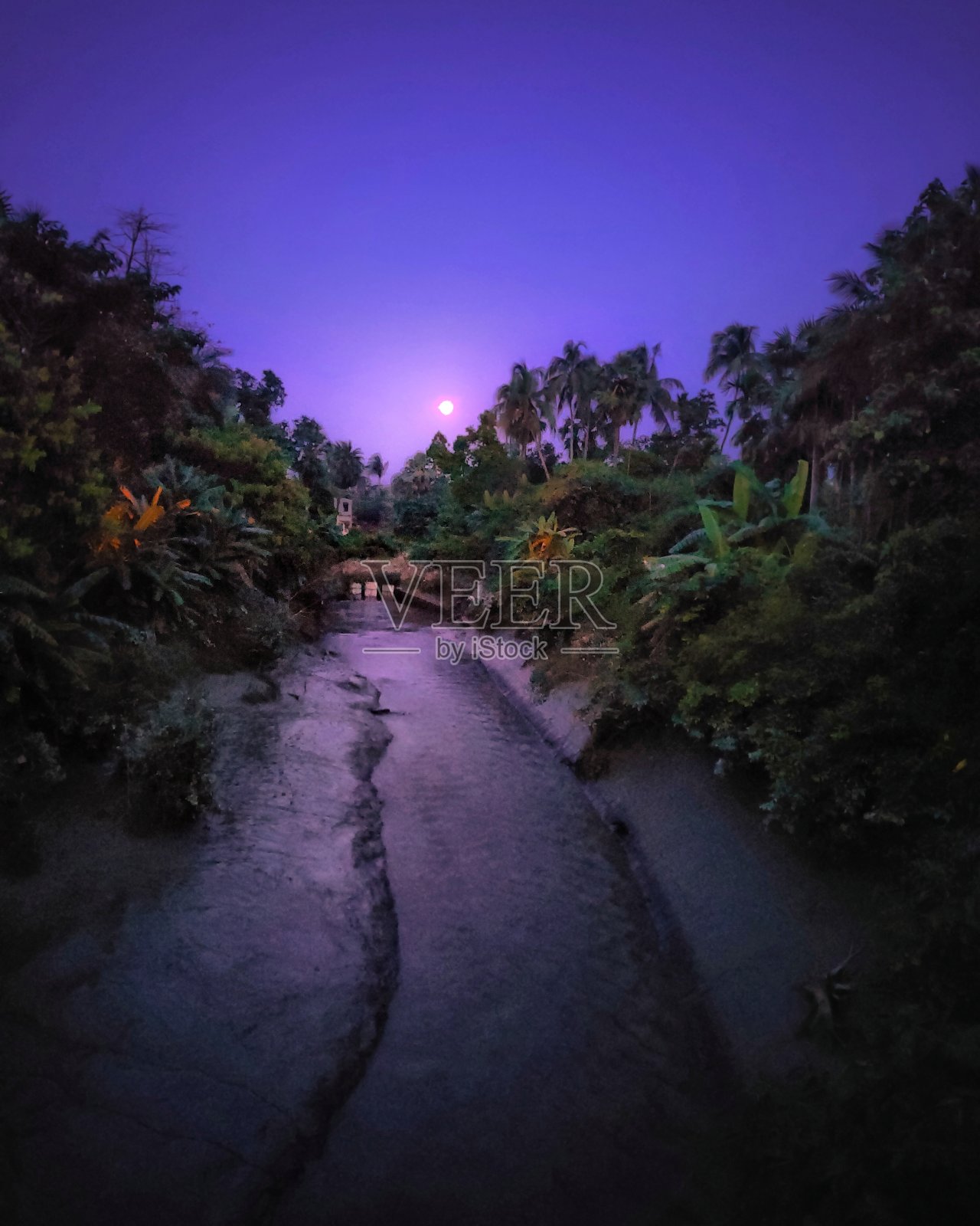 草莓的月亮照片摄影图片