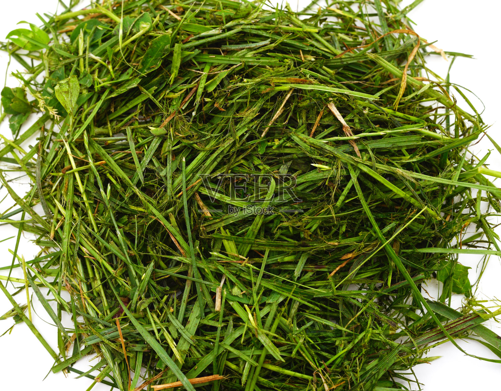 一束绿草。照片摄影图片