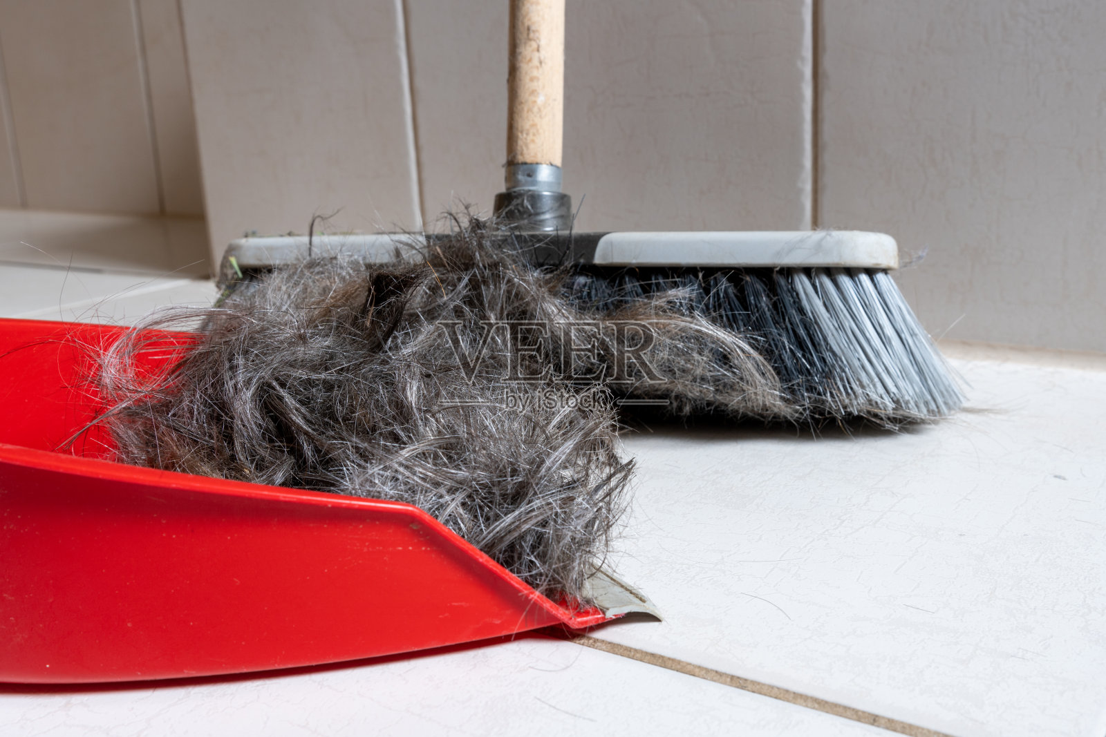 刷扫帚用簸箕清洁人的头发照片摄影图片