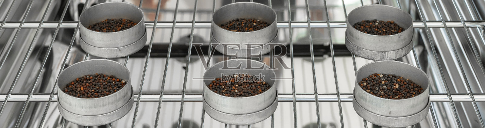 样品袋在干燥室中。照片摄影图片