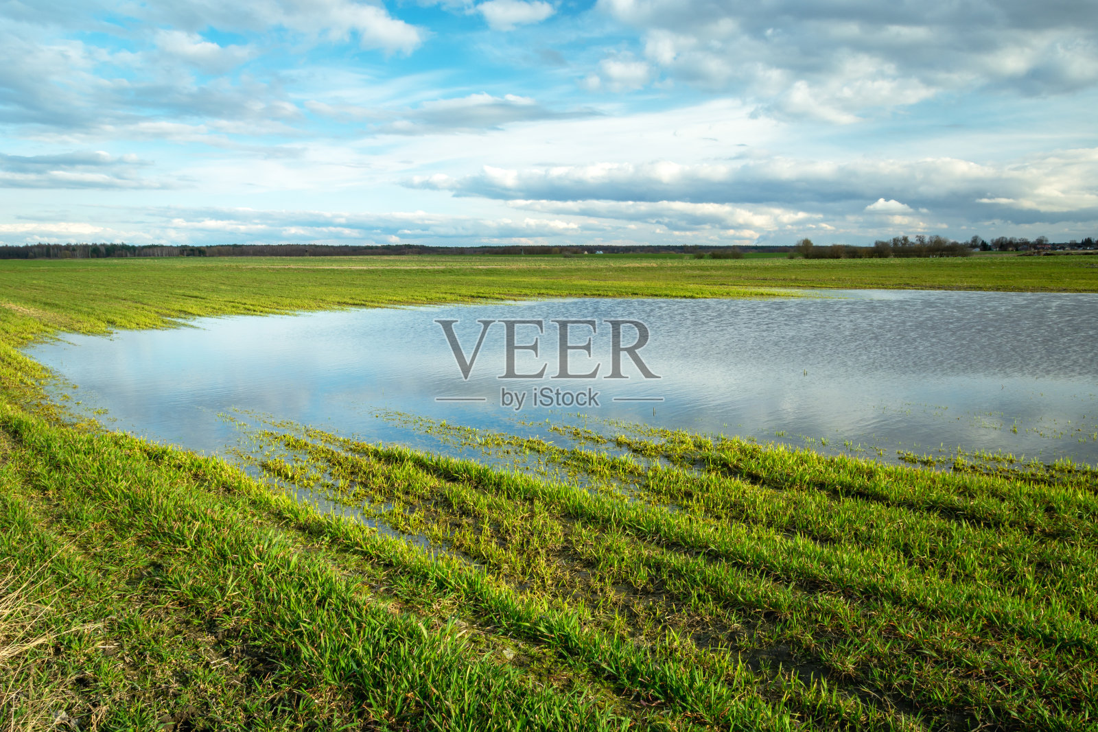 雨后在绿色农田上形成水坑照片摄影图片