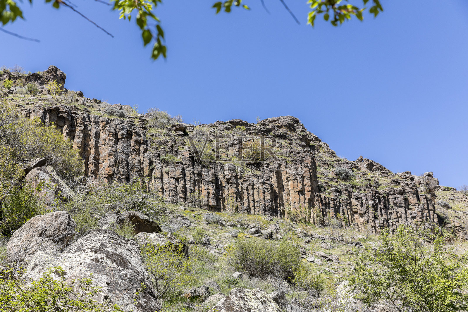 伊拉拉照片摄影图片