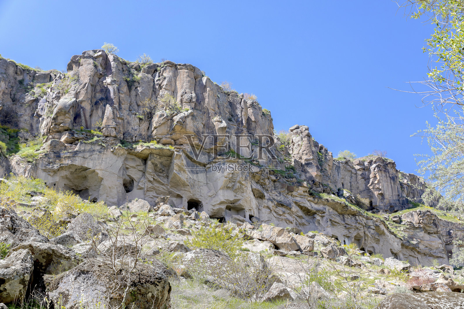 伊拉拉照片摄影图片