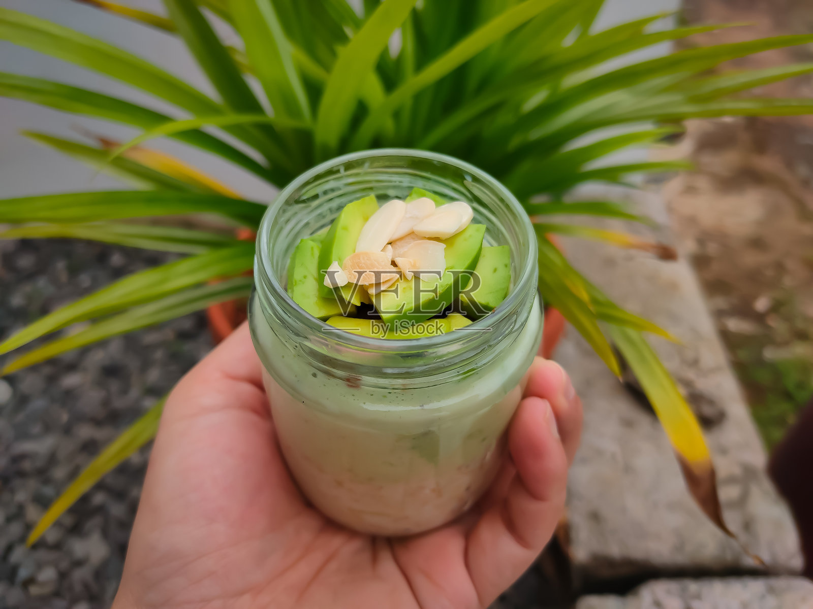 鳄梨酸奶罐照片摄影图片