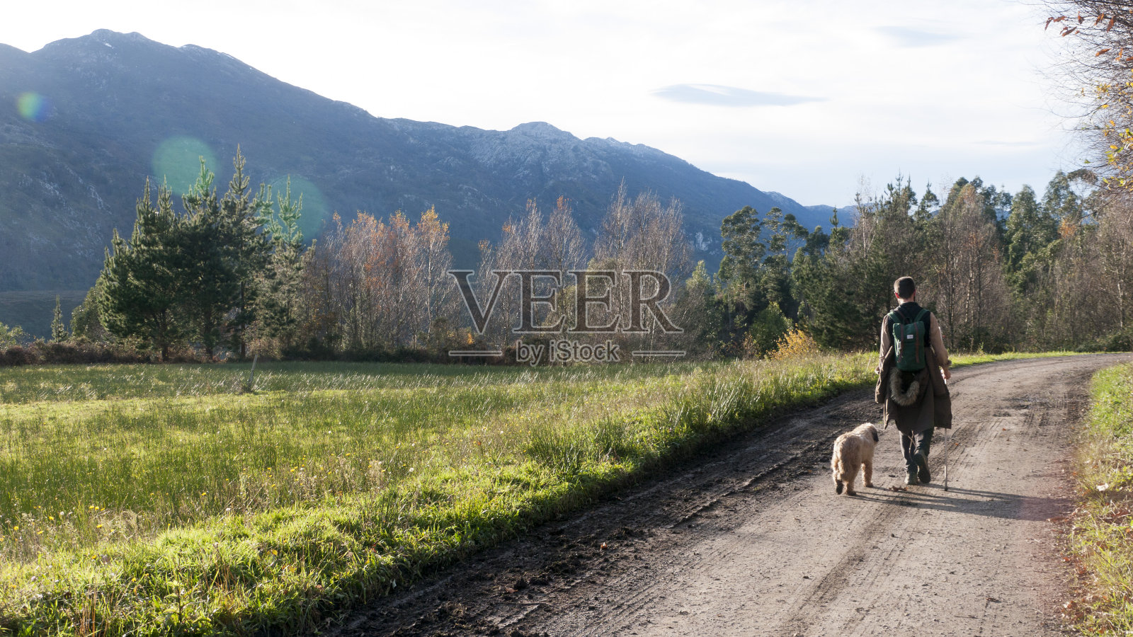 人们和狗在乡间散步照片摄影图片